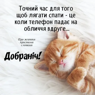 Pin by Larissapossuh on Надобраніч та Добрий вечер | Foreign language  learning, Humor, Jokes