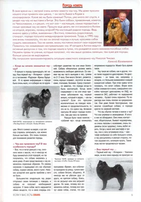 Теперь у меня есть собака!» — создано в Шедевруме