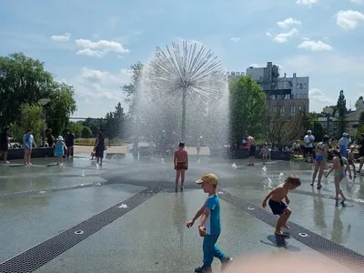 В Брянске на Набережной вновь высадили цветочные часы — Брянск.News