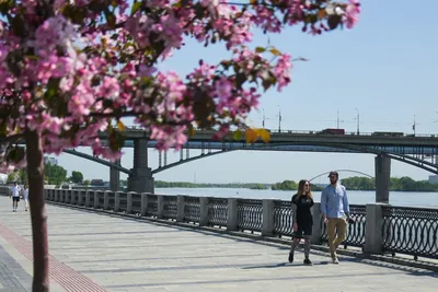 День города 2022 в Новосибирске проведут на Михайловской набережной - KP.RU