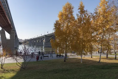 Парящий мост, лабиринт и маяк построят на набережной Новосибирска -  Континент Сибирь Online