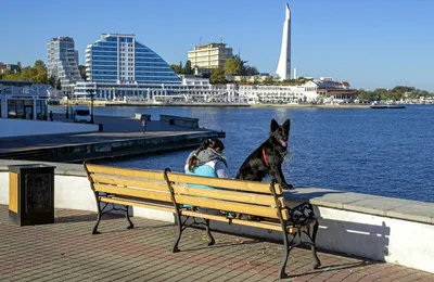 Набережная Корнилова в Севастополе