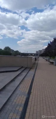 Трещины с травой и вздутая плитка»: как выглядит набережная Трибуца в  Калининграде в ожидании ремонта