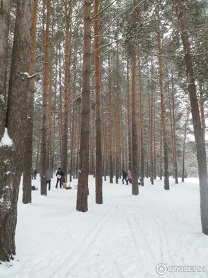 Набережные Челны, Россия — все о городе с фото