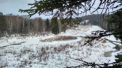 Начало зимы в Академгородке | photo-kwi.ru