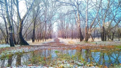 Фотозарисовка «Зима за окном. Начало зимы» (9 фото). Воспитателям детских  садов, школьным учителям и педагогам - Маам.ру