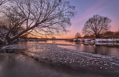 Начало зимы : первый снег , Beginning of winter: the first snow | Пейзажи,  Зима, Природа