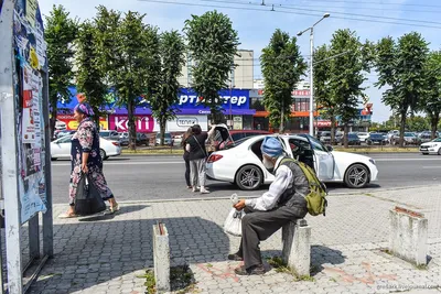 Всероссийский день бега «Кросс наций» в г.о.Нальчик | 11.09.2023 | Новости  Нальчика - БезФормата