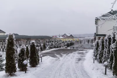 Авиабилеты Москва-Нальчик на самолет: прямые рейсы без пересадок по  выгодным ценам от авиакомпании \"Аэрофлот\" | Аэрофлот