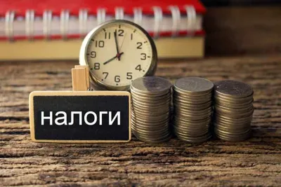 Что такое налог: виды и принципы налогообложения