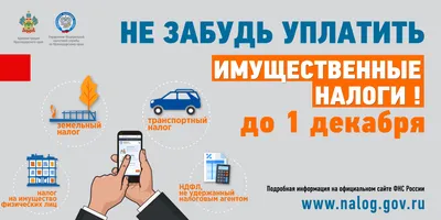 Уплатить налоги не позднее 1 декабря 2023 | Заря