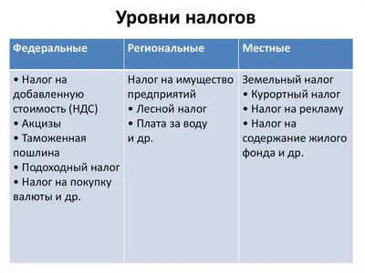 Налоги – виды и функции налоговой, налоговая нагрузка