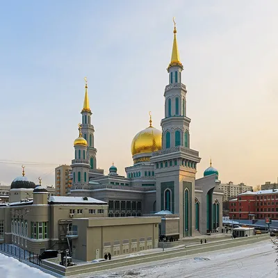 Агентство городских новостей «Москва» - Фотобанк