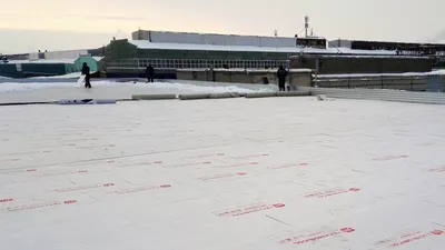 В Перми в День города бесплатный проезд планируют сделать до 2 часов ночи -  KP.RU