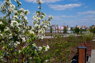 Печать на кружках в Новосибирске - Типография Атмосфера Новосибирск