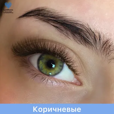 Фотография наращенных коричневых ресниц