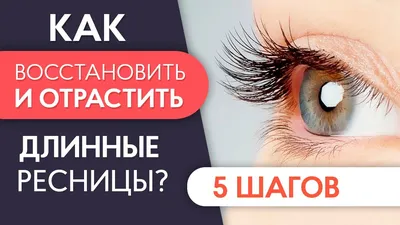 Фотки ресниц с объемным эффектом