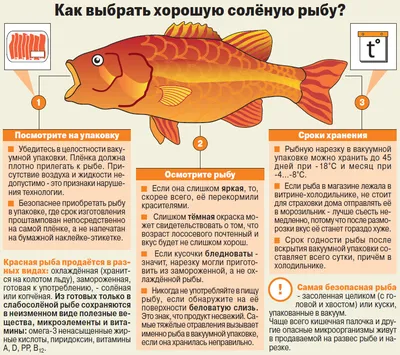 Порционная машина для нарезки кусочков рыбы заказать в России | ООО  БЕСТЕК-Инжиниринг