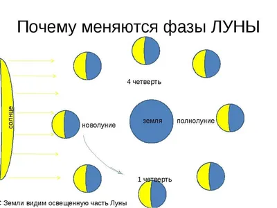 Картинки объяснение изменения облика луны (54 фото) » Картинки и статусы  про окружающий мир вокруг