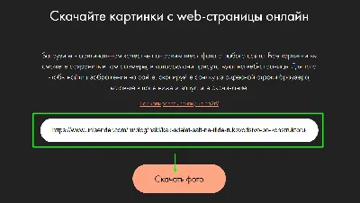 Как осуществить поиск по фото — 3 простых способа