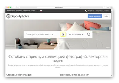 Картинки для сайта - 20 лучших бесплатных фотостоков