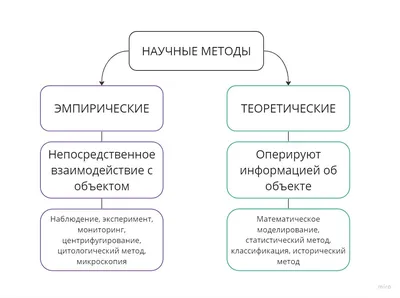 Мозг и позитивное мышление: Научные основы оптимизма и счастья - Максим  Никора - Опытный Психолог Кишинев - Psiholog Chisinau