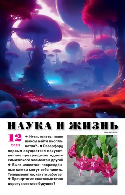 Наука рисунок наука химия книга | Рисунок, Рисование, Книги