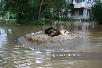 В Хабаровском крае экстренно готовятся к паводкам – создан оперативный штаб  - МК Хабаровск