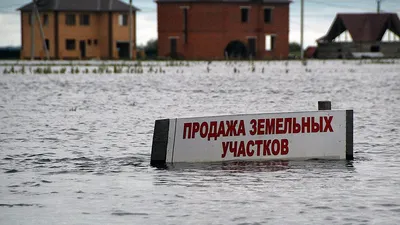 Тайфун в Хабаровске топит дома и валит деревья