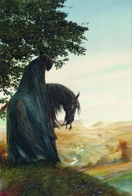 Ringwraith or Nazgul Costume - Simple Practical Beautiful