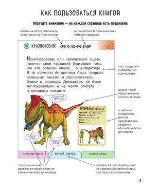 Виды динозавров: истории из жизни, советы, новости, юмор и картинки — Все  посты, страница 120 | Пикабу