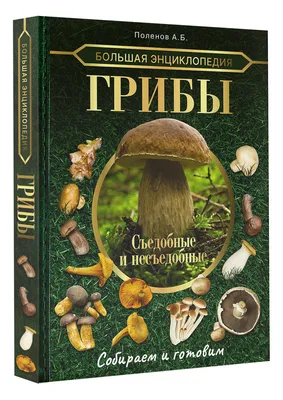 Большая энциклопедия. Грибы. Съедобные и несъедобные. Собираем и готовим. |  Поленов А. Б. - купить с доставкой по выгодным ценам в интернет-магазине  OZON (621241202)