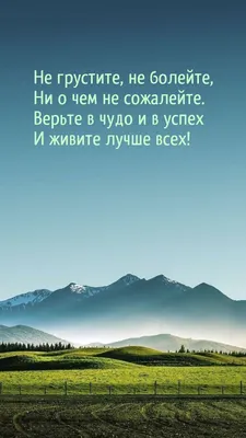 Чай листовой \"Чайный напиток Не Болей!\" Витаминный чай 200 грамм Эко Плюс -  купить с доставкой по выгодным ценам в интернет-магазине OZON (1269990113)