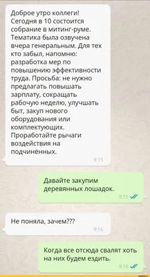 Я не хочу много работать. Я чиновник. У меня лапки. | Пикабу