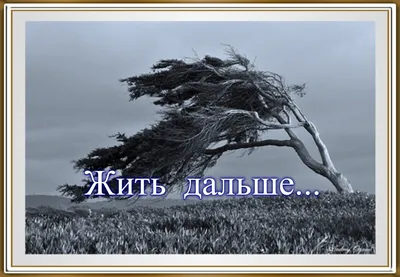 Открытка с именем Людмила Не обижайся. Открытки на каждый день с именами и  пожеланиями.