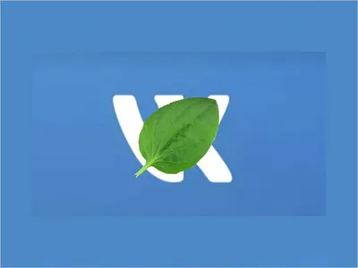 Почему не отображаются картинки на сайте, что делать когда не грузятся и не  открываются изображения