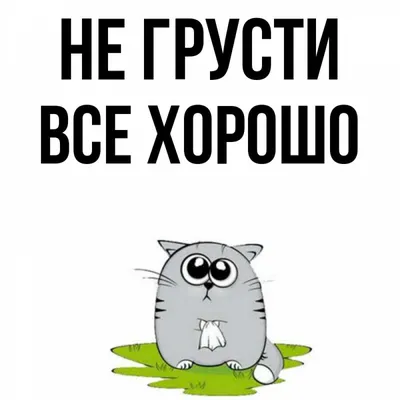 Нападающий «Зенита» Сергеев заявил, что не расстраивается из‑за конкуренции  с Кассьеррой