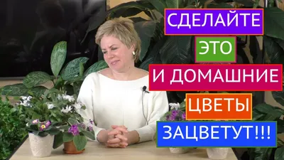 Пересадка комнатных растений: Что я делаю не так – как и когда лучше  пересаживать комнатные цветы | Houzz Россия