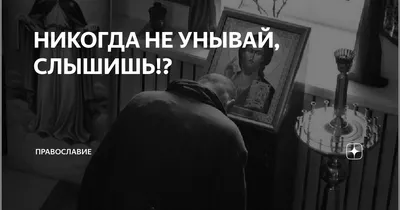 не унывай, ты не дурак | Обои