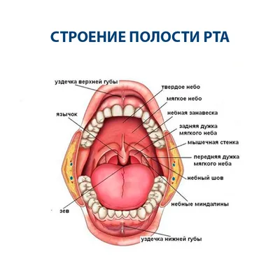 Осложнения при контурной пластике