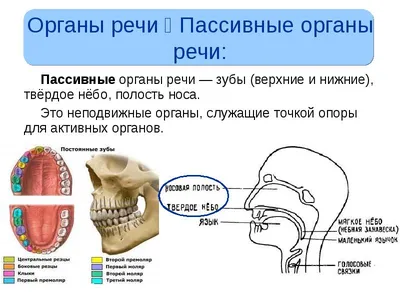 Занавеска лён