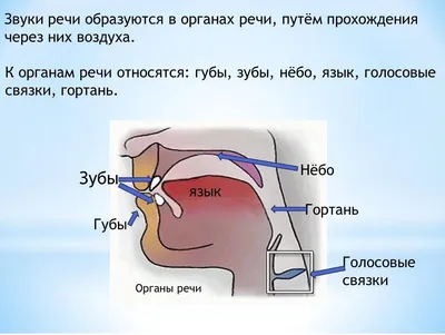 ИНФОРМАТИВНЫЙ ПРИЗНАК ПЕРЕДАТОЧНЫХ ФУНКЦИЙ МОДЕЛЕЙ РЕЧЕОБРАЗОВАНИЯ