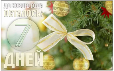 Неделя до Нового Года 🎄 чувствуется приближение праздника? Как будете  отмечать? Мария | ВКонтакте