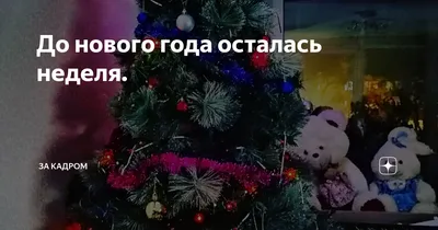 До Нового года осталось две недели!🎄 А Оливера все меньше и меньше!🎁  ⠀⠀⠀⠀⠀ Если Вы еще не купили новогодний подарок, то самое … | Outdoor decor,  Home decor, Decor