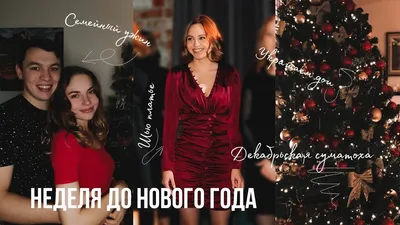 Ровно неделя осталась до Нового года 🎄 А это чудесные елочки наших  арендаторов #елка#новыйгод#декабрь#январь#котельники#москва#мега | Instagram