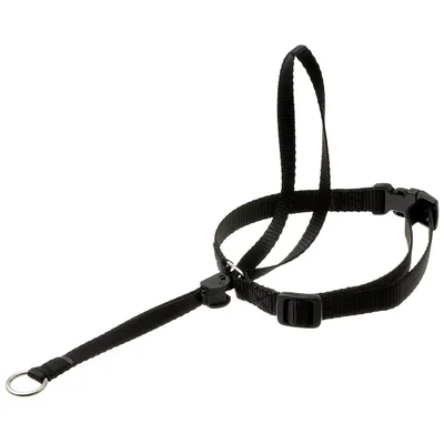 Недоуздок для собак COA \"HALTI Headcollar\", красный, Size 3 купить в Москве  в зоомагазине, цены - Сами с Усами