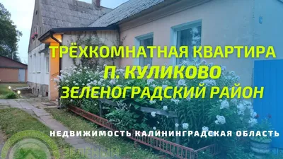 Роскошь у моря»: как выгодно купить недвижимость на побережье в  Калининградской области