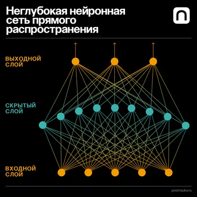 Нейронные сети – развитие технологии, имитирующей разум | KV.by