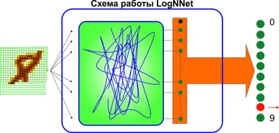 Принцип работы свёрточной нейронной сети