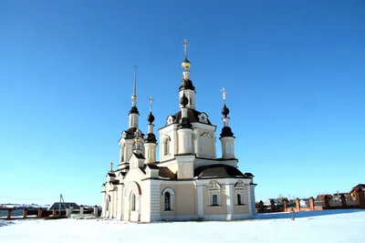 Церковь Николая Чудотворца, Нелжа (Рамонский район), фотография. фасады  Общий вид с юга